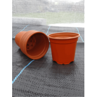 Desch Plastic Pot 10.5cm
