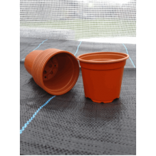 Desch Plastic Pot 10.5cm