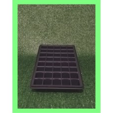 Seed Tray with 40 Cell Insert